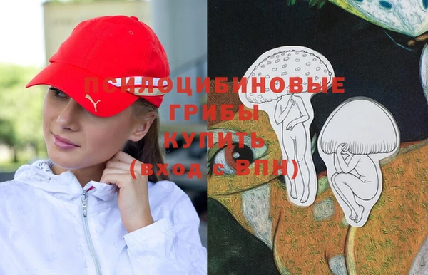 mdpv Богородск