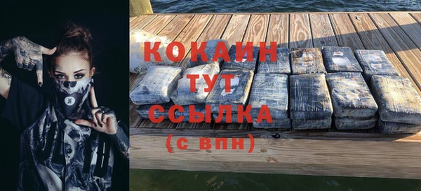 дурь Богданович