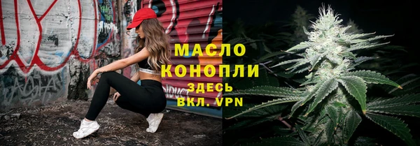 apvp Богородицк
