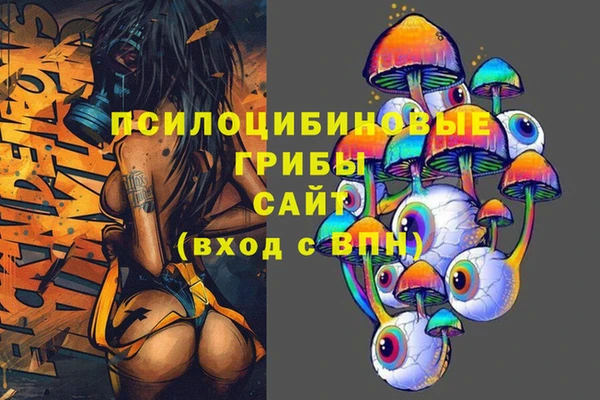 apvp Богородицк
