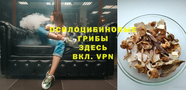 дурь Богданович
