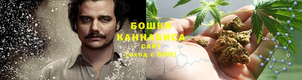 дурь Богданович