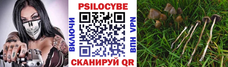 omg как войти  Киржач  Псилоцибиновые грибы Psilocybine cubensis  купить закладку 